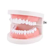 TOOTH DEMO
